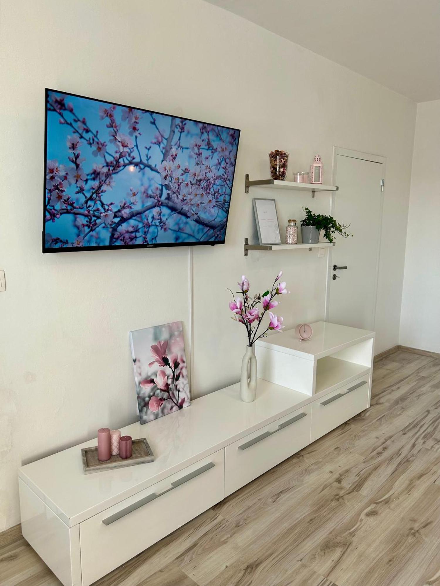 Magnolia * Братислава